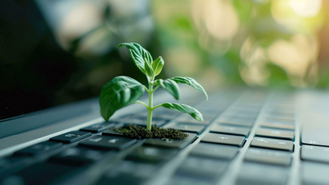 Plantje groeit uit toetsenbord