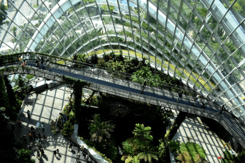 Groene gebouwinrichting