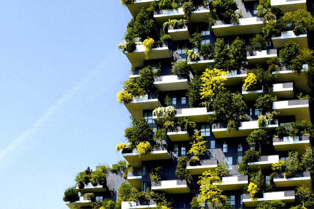 Groene gebouwinfrastructuur